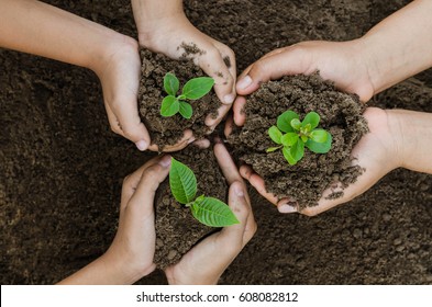 Growing concept eco Group hand  children planting together on soil background