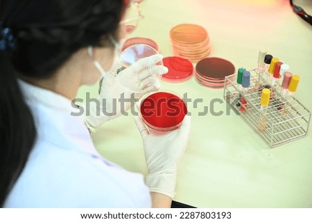 Growing cultures in a dish is an essential technique in biology, microbiology, and biotechnology. It involves growing microorganisms, cells, or tissues in a controlled environment, providing researche