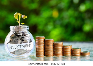 Growing Money Finance Investment Concept Stock Photo 1182494233 ...