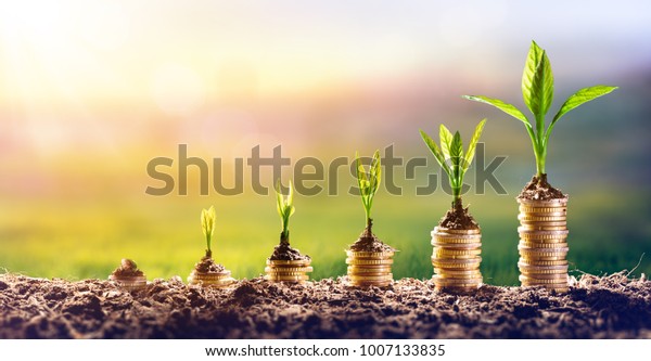 Выращивание денег - Завод на монетах - Концепция финансов и инвестиций