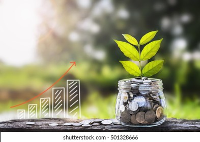 Growing Money And Plant, Saving Money Concept Graph
