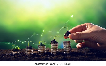 Growing money,finance and investment. Concept of business growth,profit, development and success. Seedling are growing with business arrow of growth.Young plants on coin stacks  increase.