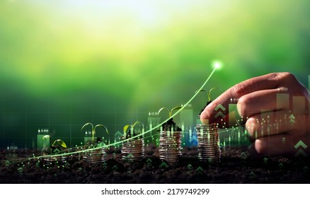 Growing money,finance and investment. Seedling are growing with business arrow of growth.Young plants on coin stacks  increase. Concept of business growth,profit, development and success. 