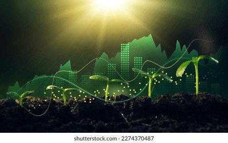 Growing money,finance and investment.Concept of business growth,profit, development and success. Young plants increase on sunny background. - Powered by Shutterstock