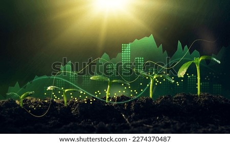 Growing money,finance and investment.Concept of business growth,profit, development and success. Young plants increase on sunny background.