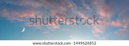 Growing moon or crescent on azure sky with delicate fluffy pink clouds at sunset or sunrise - harmony in nature. Wonderful serenity, majestical poetical atmosphere of mysterious heaven. Panorama