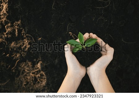 Growing and nurturing plant on fertilized soil contributing to CO2 emission reduction and embrace ESG environment social governance principle concept for sustainable future. Gyre