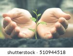 Growing a plant. Hands holding and nurturing tree growing on fertile soil  / nurturing baby plant / protect nature / Agriculture