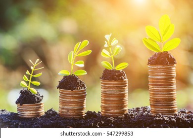 Growing Plant On Row Of Coin Money , Csr In Business