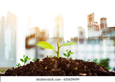 Growing plants on ground with city scape background. Save Earth Planet World Concept. World environment day concept. safe the world , ecology concept