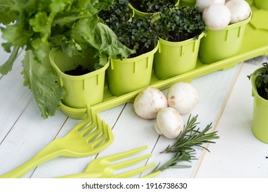 Growing seedlings and vegetables provide themselves with products on their site. ECO food. Concept of self isolation during a pandemic COVID-19. Green and white flat lay.