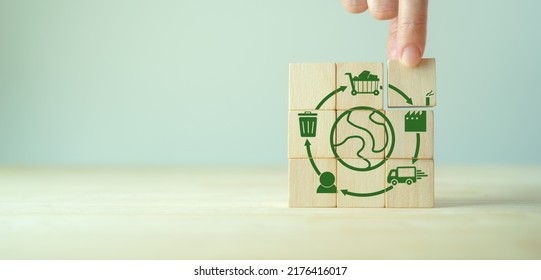 Growing sustainability. LCA-Life cycle assessment concept. Assessing environmental impacts associated on value chain product. Carbon footprint evaluation. ISO LCA standard, aim to limit climate change - Shutterstock ID 2176416017