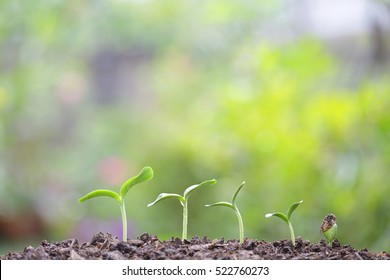 Growing Tree