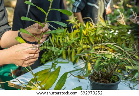 Growing a tree, even a small one, can be beneficial to the environment as well, because it is refreshing to create a good ozone to.