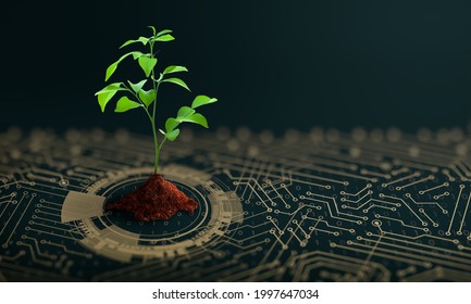 Growing Tree On The Converging Point Of Computer Circuit Board. Nature With Digital Convergence And Technological Convergence. Green Computing, Green Technology, Green IT, Csr, And IT Ethics Concept.