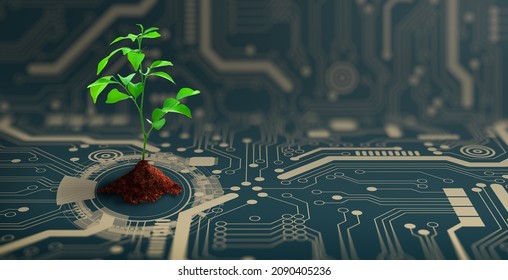Growing tree on the converging point of computer circuit board. Nature with Digital Convergence and Technological Convergence. Green Computing, Green Technology, Green IT, csr, and IT ethics Concept.