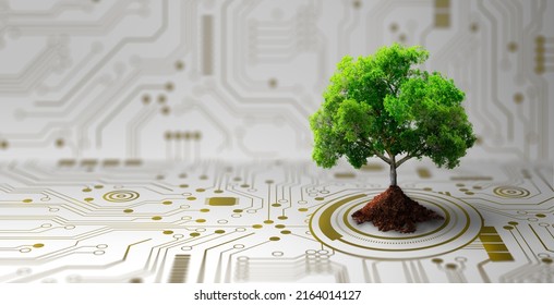 Growing tree on the converging point of computer circuit board. Nature with Digital Convergence and Technological Convergence. Green Computing, Green Technology, Green IT, csr, and IT ethics Concept. - Shutterstock ID 2164014127