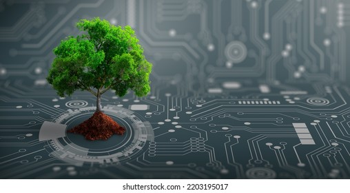 Growing Tree On The Converging Point Of Computer Circuit Board. Nature With Digital Convergence And Technological Convergence. Green Computing, Green Technology, Green IT, Csr, And IT Ethics Concept.