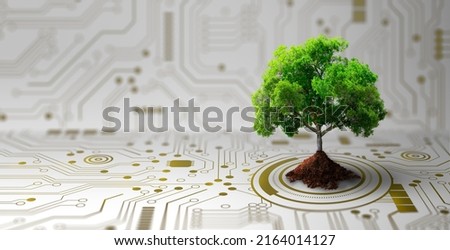 Growing tree on the converging point of computer circuit board. Nature with Digital Convergence and Technological Convergence. Green Computing, Green Technology, Green IT, csr, and IT ethics Concept.