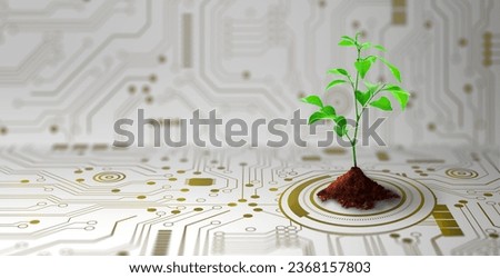 Growing tree on the converging point of computer circuit board. Nature with Digital Convergence and Technological Convergence. Green Computing, Green Technology, Green IT, csr, and IT ethics Concept.