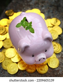 The growing trees on the money stacks include a pink pig piggy bank, money-saving ideas, and own retirement plan. - Shutterstock ID 2209605139