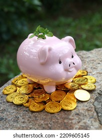 The growing trees on the money stacks include a pink pig piggy bank, money-saving ideas, and own retirement plan. - Shutterstock ID 2209605145