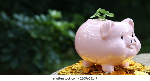 The growing trees on the money stacks include a pink pig piggy bank, money-saving ideas, and own retirement plan. - Shutterstock ID 2209605147