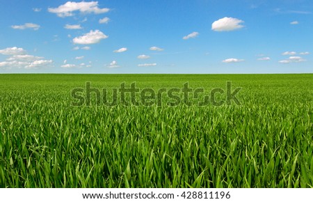 Similar – Image, Stock Photo growing maize field