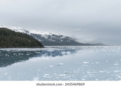 Growlers (small icebergs) floating in College fjord with low clouds hanging in the mountains behind - Powered by Shutterstock