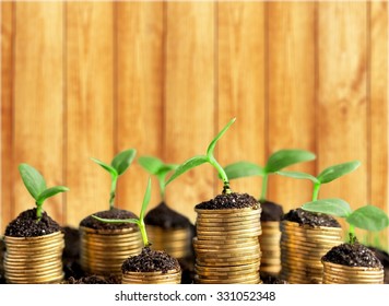 Growth. - Shutterstock ID 331052348