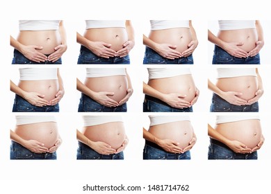 Growth Abdomen Pregnant Woman Closeup Set Stock Photo Shutterstock