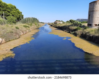 Growth Of Algae Due To Eutrophication