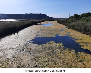 Growth Of Algae Due To Eutrophication