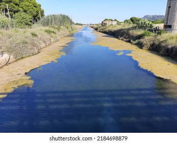 Growth Of Algae Due To Eutrophication