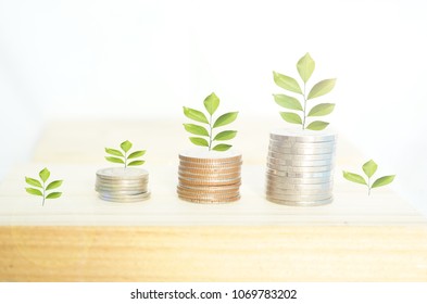 Growth, business, money

,money growth concept.too bright image background. - Shutterstock ID 1069783202