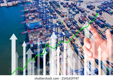 Growth The Business Of Transport Networks, Logistics And Distribution. Industrial Cargo Freight Trucks That Export And Import Products Worldwide.