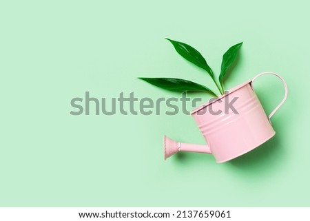 Growth, gardening and earth day creative concept with watering cans, tools and sprout on green background, top view, copy space