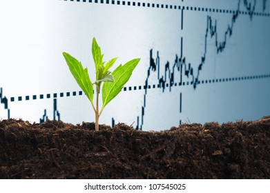 Growth Or Growing Economy Concept With Business Chart And Young Plant