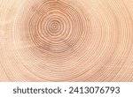 Growth rings of a spruce tree, horizontal cross section, cut through the dried trunk of an European spruce tree, Picea abies, showing annual or tree rings. A new layer of wood is added every year.