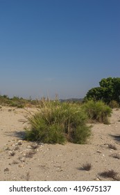 Growth In The Santa Clarita Valley Of Southern California Near The Mojave Desert.