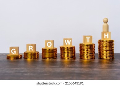 Growth Text On Wood Block Business And Financial Concept Still Life