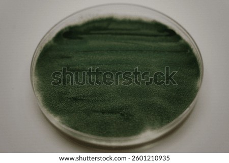 Growth of Trichoderma spp. in a Petri dish with potato dextrose agar (PDA), antagonism and antibiosis with Bacillus subtilis, antibiosis effect and Paecilomyces lilacinus