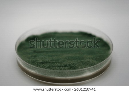 Growth of Trichoderma spp. in a Petri dish with potato dextrose agar (PDA), antagonism and antibiosis with Bacillus subtilis, antibiosis effect and Paecilomyces lilacinus