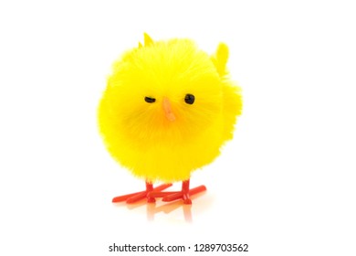 103 Grumpy Baby Bird Images, Stock Photos & Vectors 