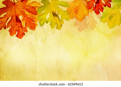 71 479 Indoor Autumn Background Images Stock Photos Vectors 71 479 Indoor Autumn Background Images Stock Photos Vectors
