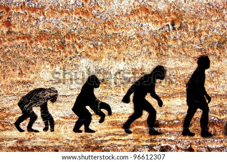 grunge background of human evolution