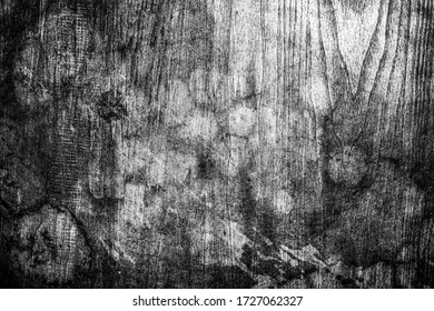 Grunge black and white wood texture, real ancient surface, high contrast image. Horizontal photo                            