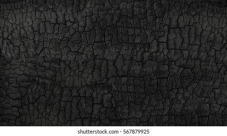 Grunge  Burned wood texture  Black background