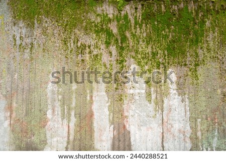 Grunge concrete wall covered with a layer of green moss, abstract urban detail texture background
