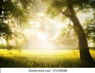 Grunge image. landscape with tree on the field